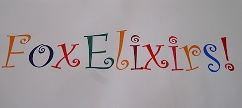 IMG_2735.JPG