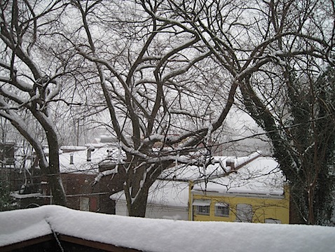 IMG_2835.JPG