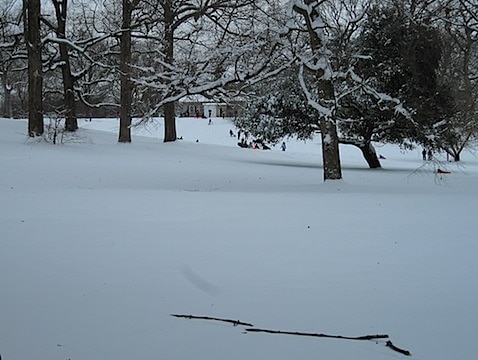 IMG_2839.JPG