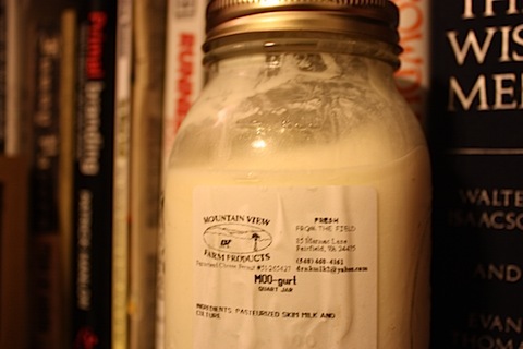 Moo-gurt.JPG