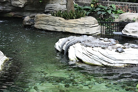 IMG_5554.JPG