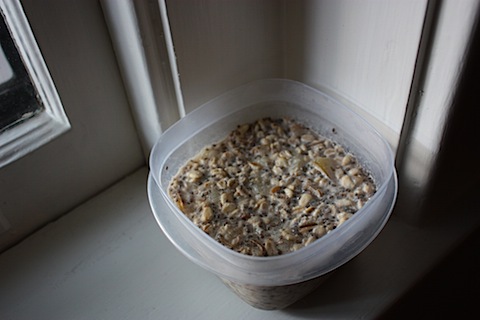 peach overnight oats.JPG