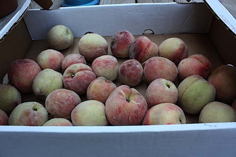 white peaches.JPG