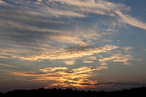 IMG_6951.JPG