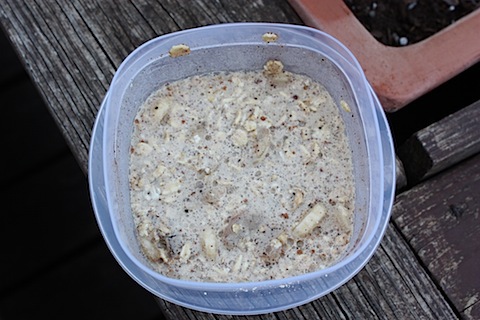overnight oats.JPG