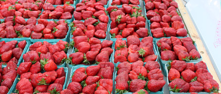 berries