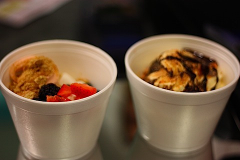 fro yo.JPG