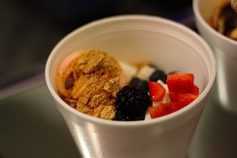frozen yogurt.JPG