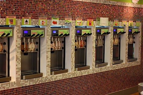 sweet frog yogurt bar.JPG
