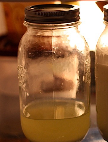 yogurt whey.JPG