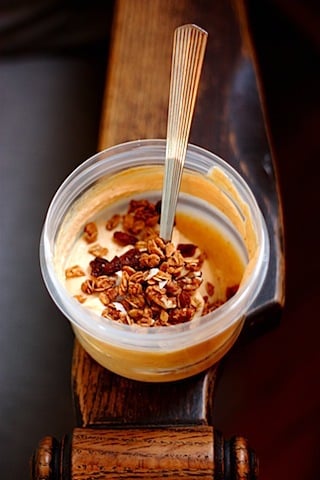 Pumpkin Spice Yogurt.JPG