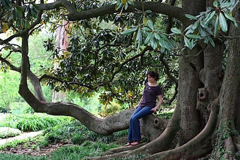 maymont trees.JPG