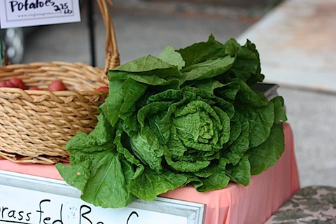 lettuce.JPG