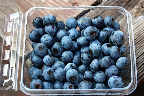 blueberries.JPG