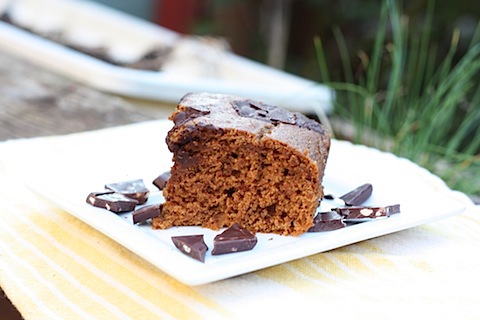 healthy chocolate pumpkin bars.JPG