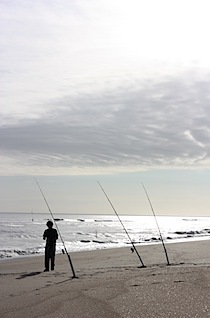 IMG_4468.JPG