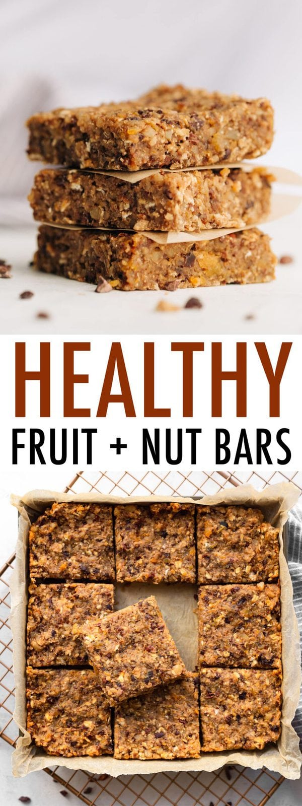 Fruit and Nut Bars Eating Bird Food