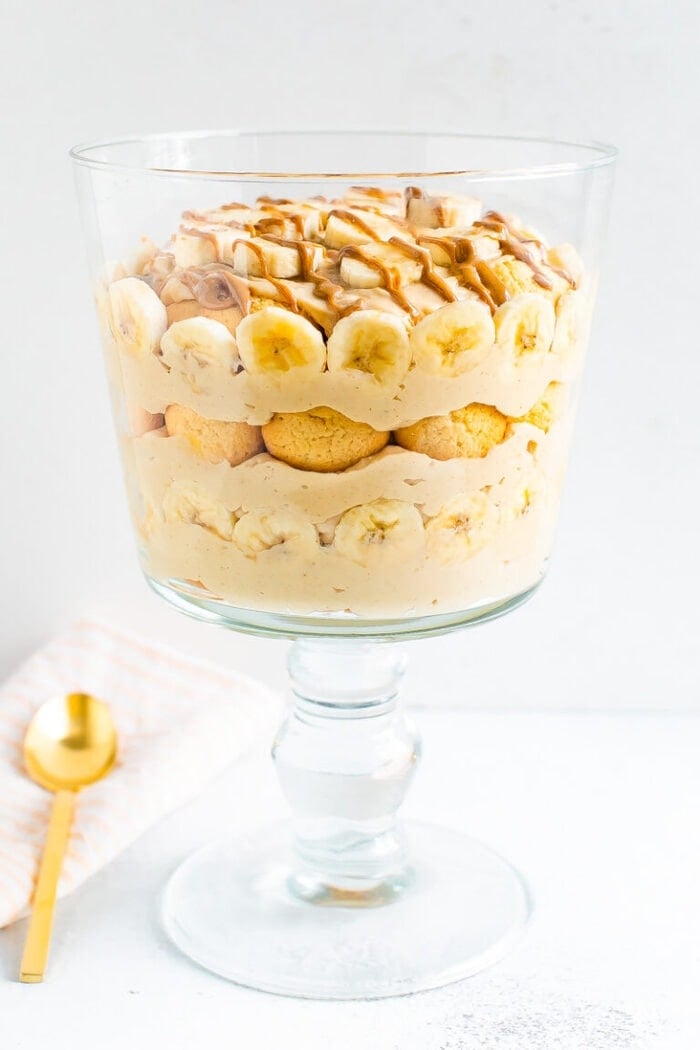Ultimate Peanut Butter Banana Pudding Eating Bird Food