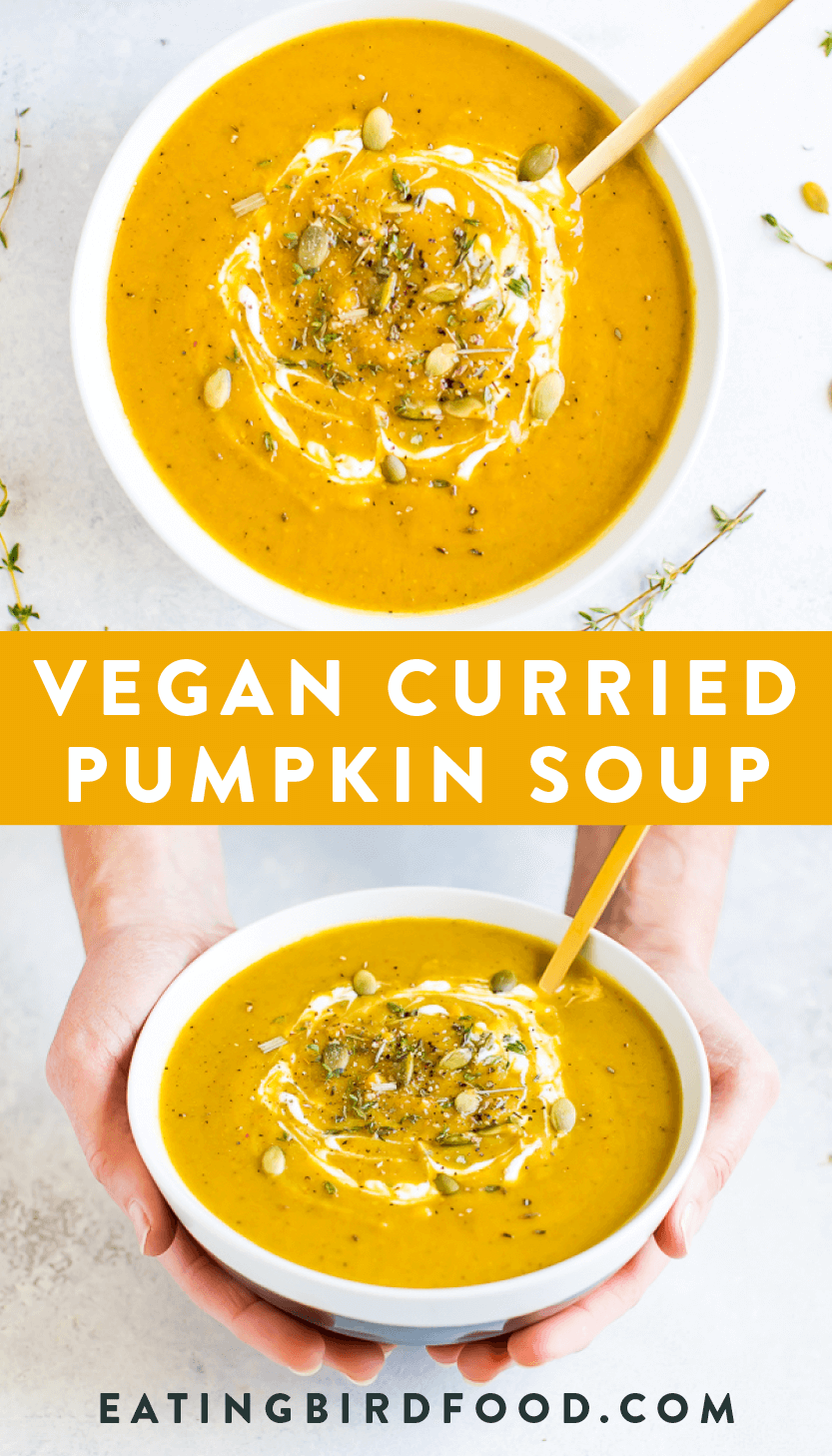 Vegan Curried Pumpkin Soup Eating Bird Food