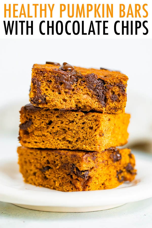 Healthy Pumpkin Bars Eating Bird Food
