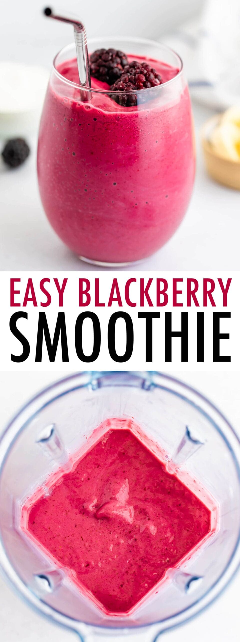 Easy Blackberry Smoothie Recipe Eating Bird Food
