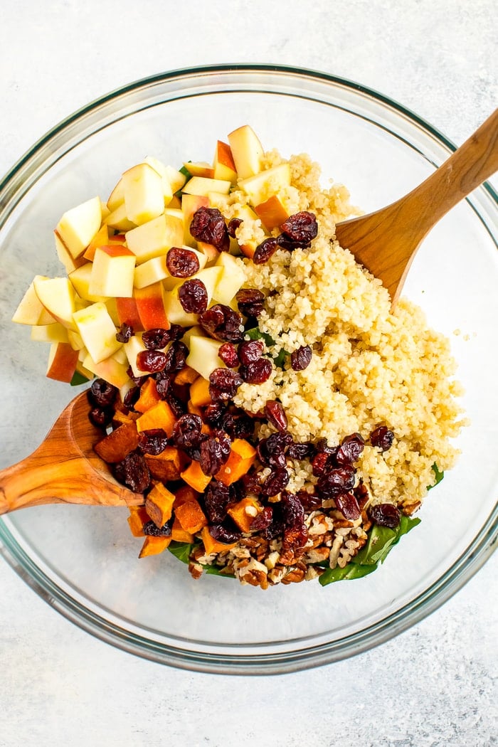 Ingredients for the fall harvest spinach salad in a bowl before being fully mixed-- chopped apple, quinoa, cranberries, pecans, butternut squash, and spinach.