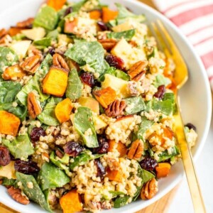 Salad plate filled with spinach harvest salad including butternut squash, cranberries, quinoa, pecans, and apples. A fork of on the plate and a dish towel to the side.