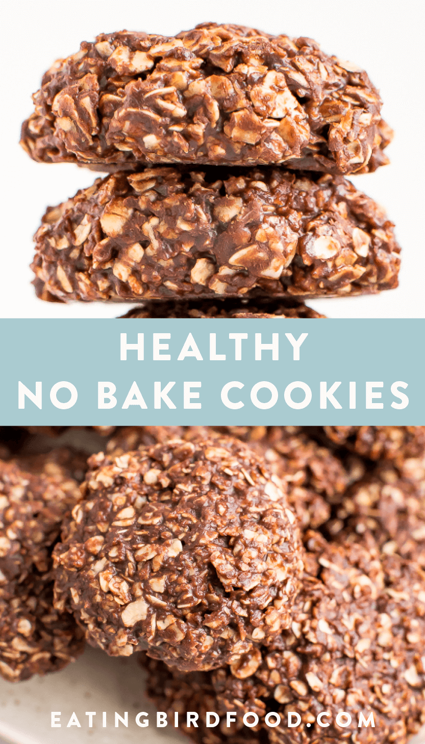  healthy no bake cookies less sugar no butter eating bird food
