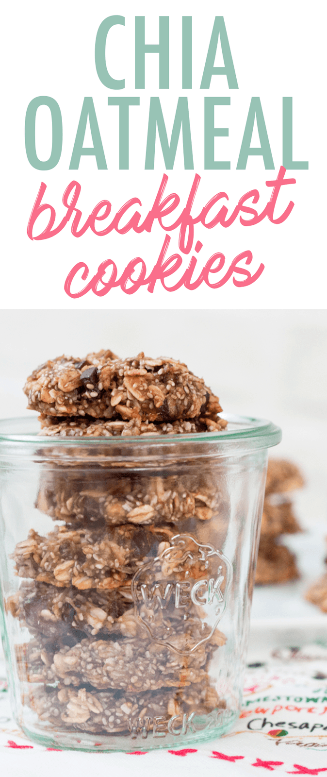 Oatmeal Chia Cookies Eating Bird Food