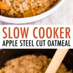 Photo of a bowl full of apple cinnamon steel cut oatmeal. Slow cooker with steel cut oatmeal and a spoon.