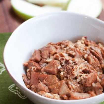 Apple Cinnamon Overnight Oats Dog Food Apple Cinnamon Overnight Oats Dog Food