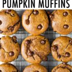 9 chocolate chip pumpkin muffins on a cooling rack.