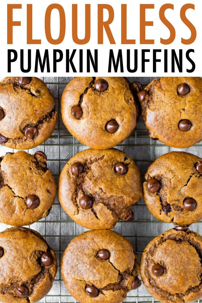 Paleo Pumpkin Muffins {Flourless} Eating Bird Food