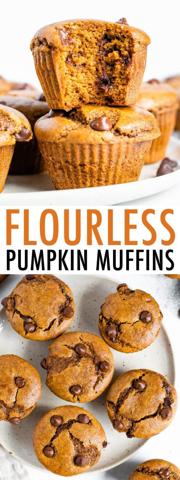 Paleo Pumpkin Muffins {Flourless} Eating Bird Food