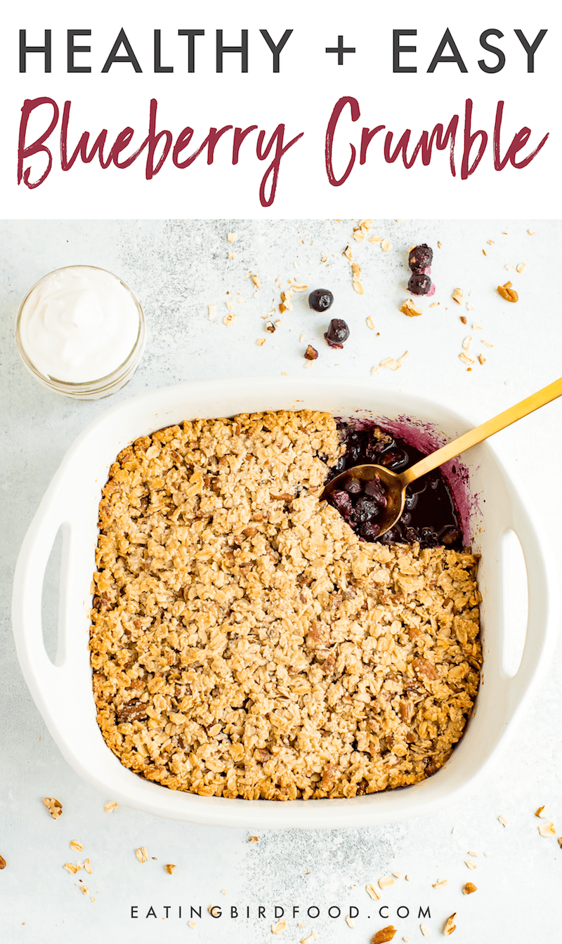Healthy Blueberry Crumble Eating Bird Food
