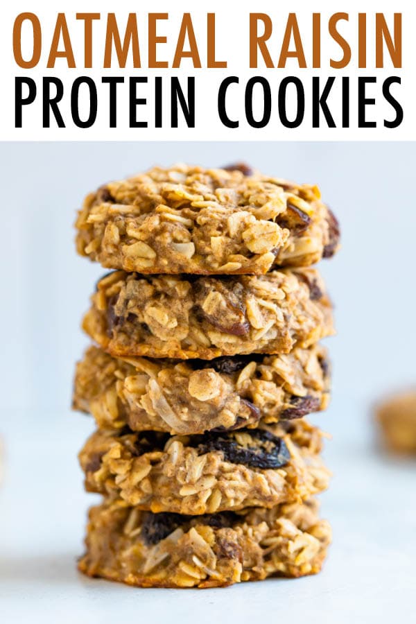 Oatmeal Raisin Protein Cookies Eating Bird Food