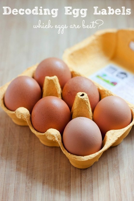 Decoding Egg Labels -- Which Eggs Are Best?