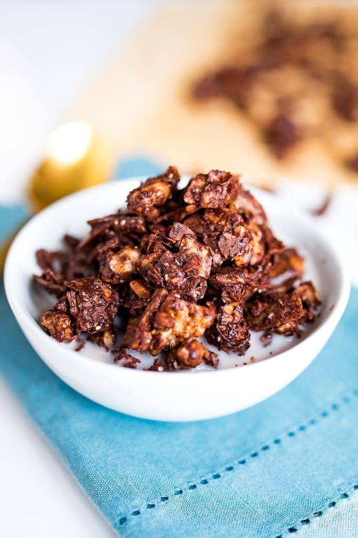 Chocolate, grain-free granola with cocoa, coconut flakes and nuts in a bowl with milk.