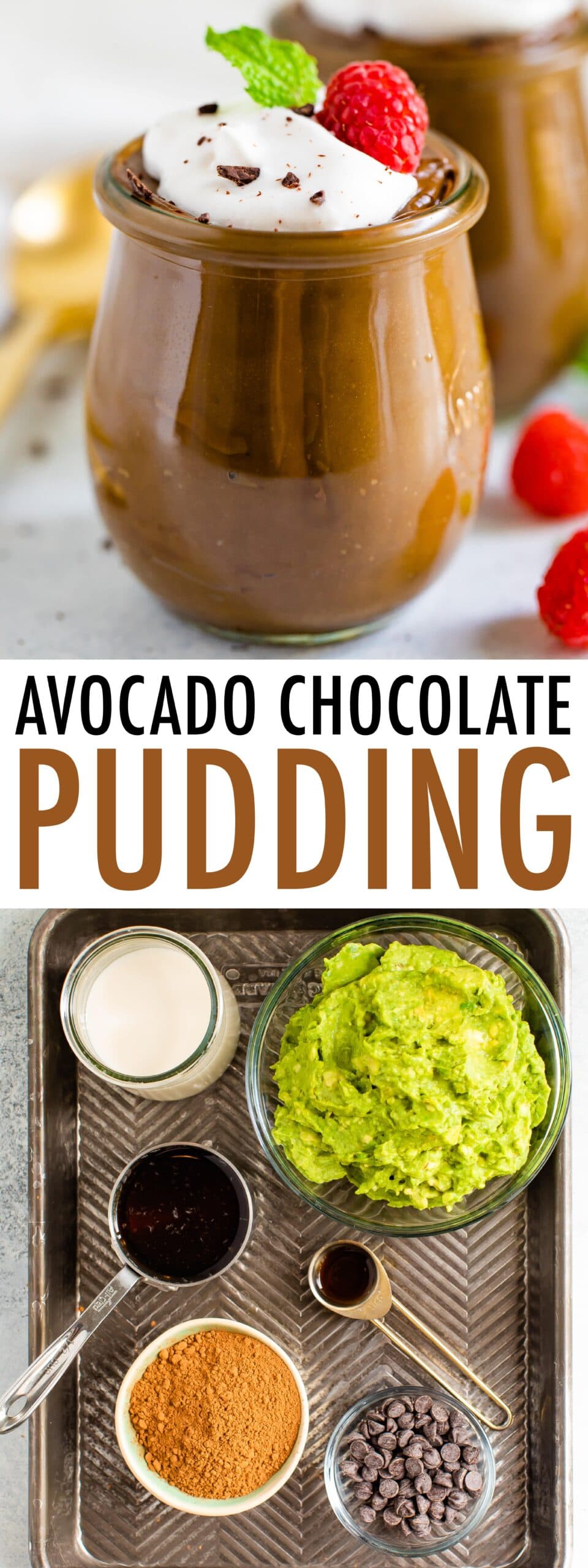 Easy Avocado Chocolate Pudding Eating Bird Food