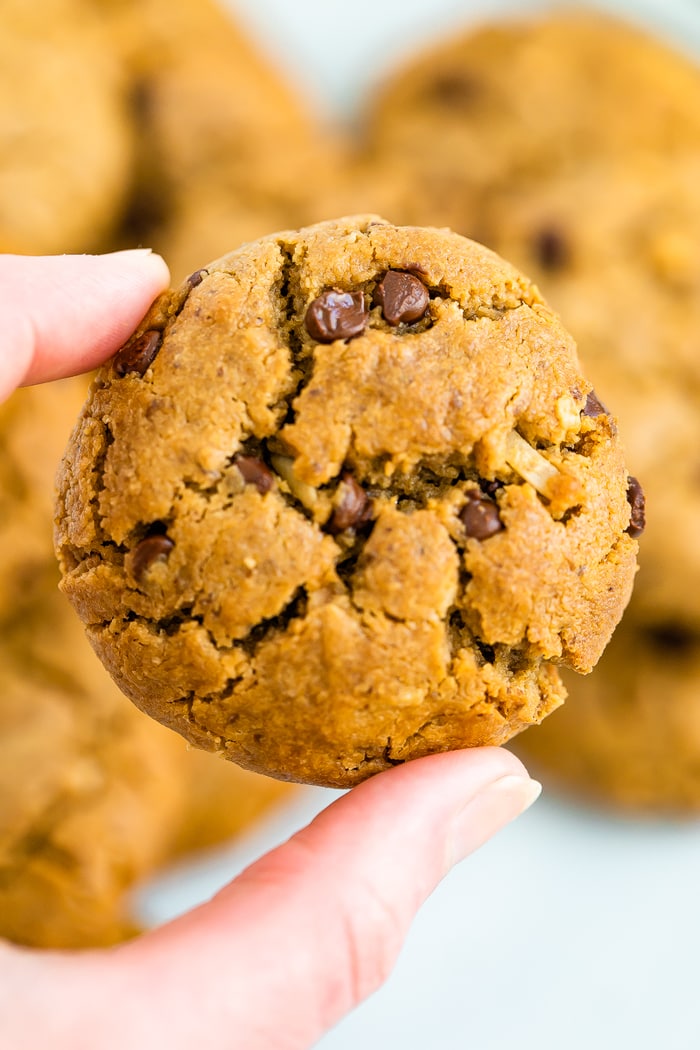 Hand holding a chocolate chip tahini cookie.