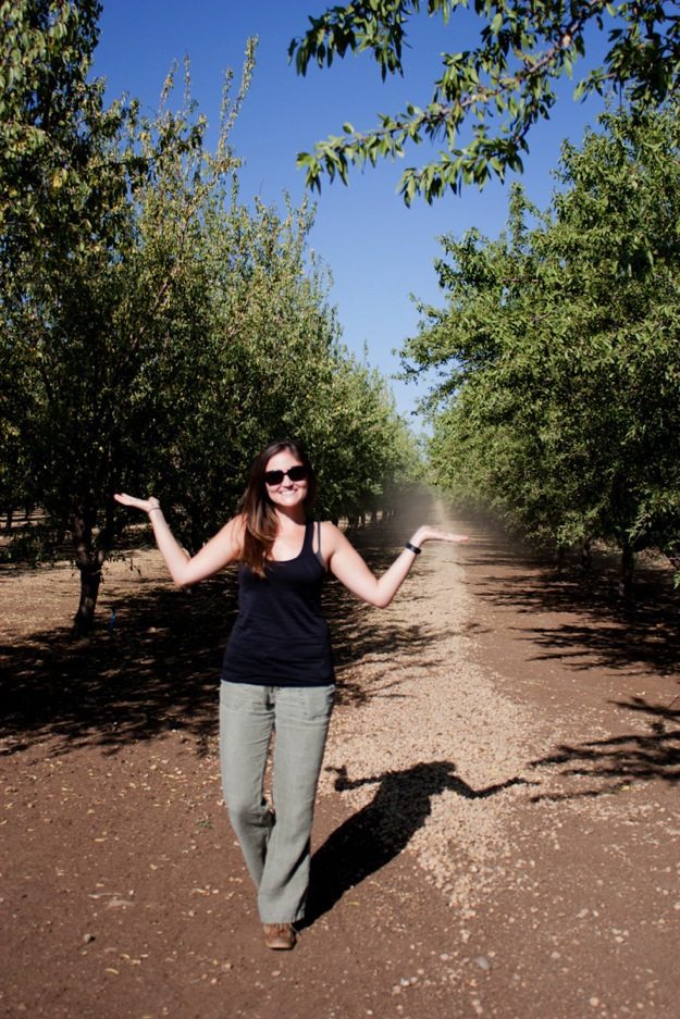 Almond Orchard Experience 