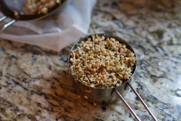 sprouted buckwheat in measuring cup