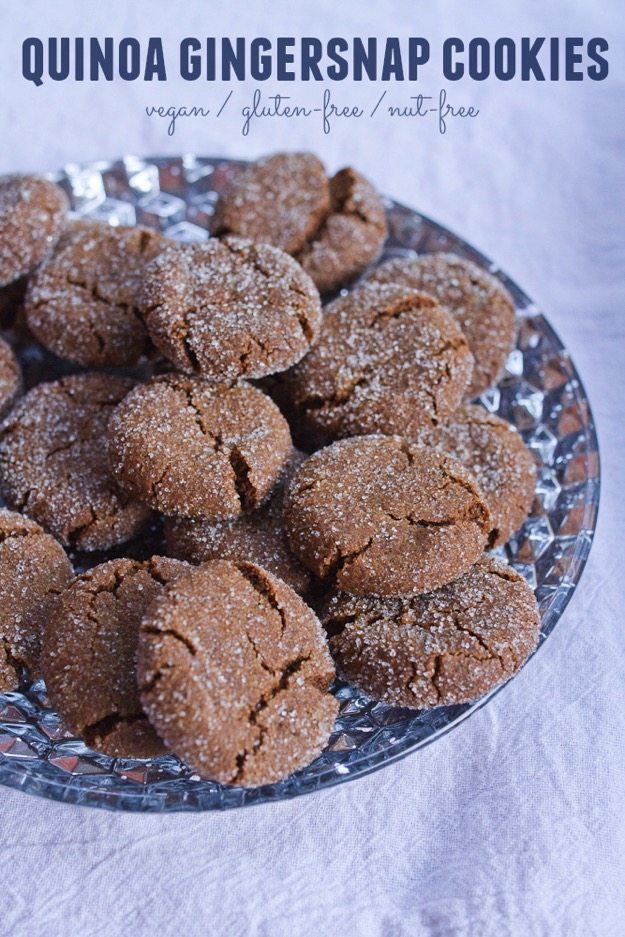 Vegan Quinoa Gingersnap Cookies - Eating Bird Food