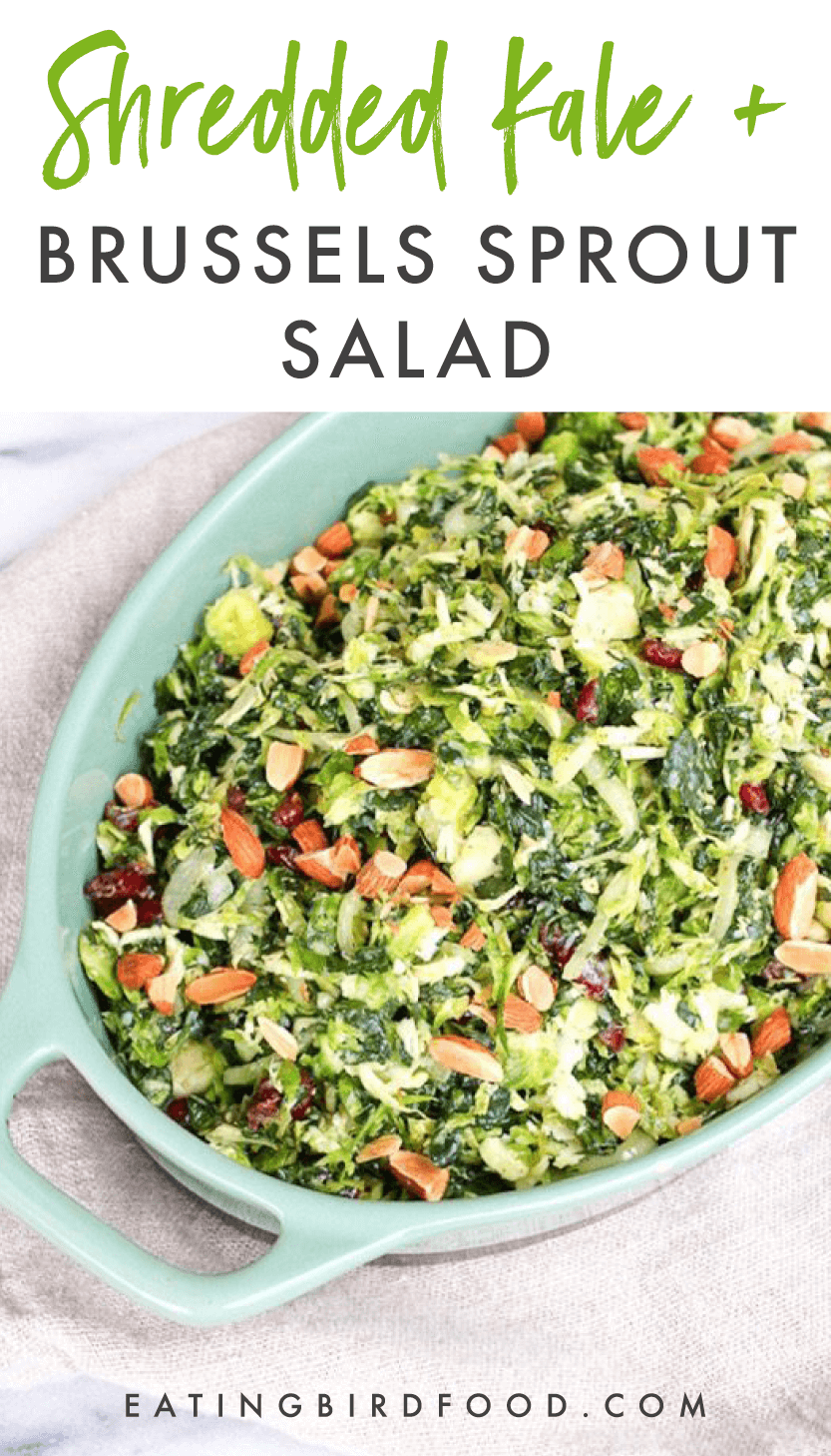 Kale and Brussels Sprout Salad Eating Bird Food