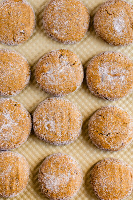 Gluten-Free Gingersnap Cookies with Quinoa Flour - Eating Bird Food