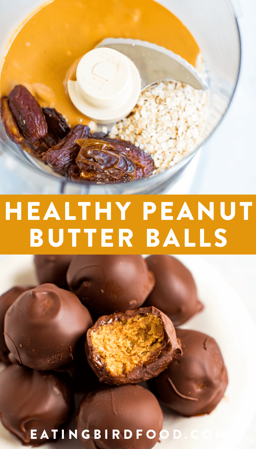 Healthy Peanut Butter Balls Made with 5 Ingredients