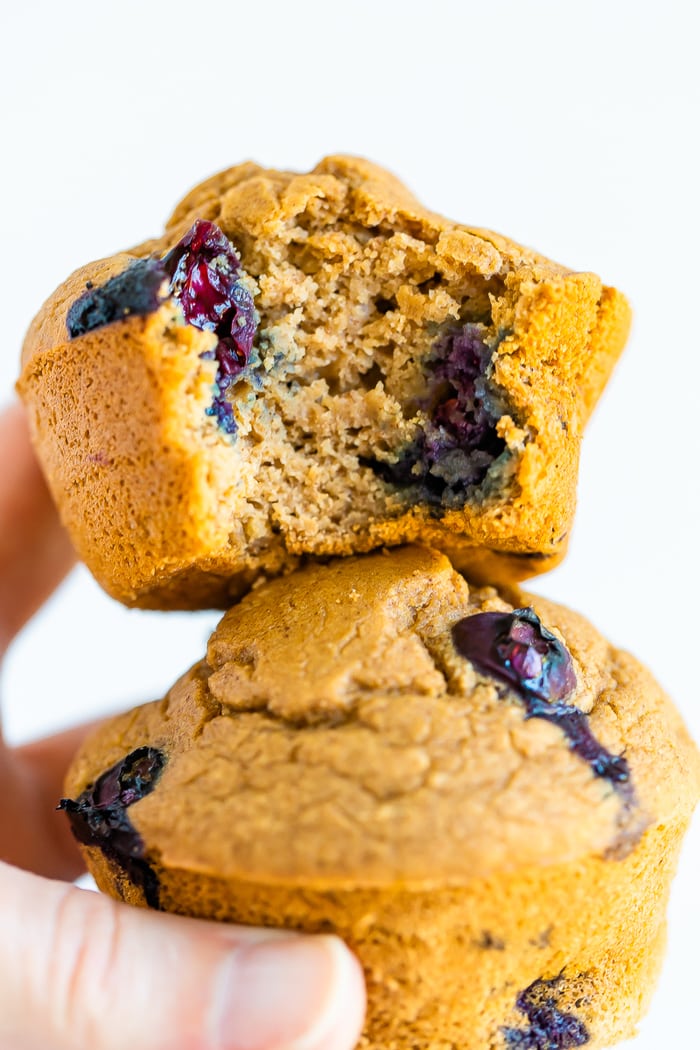 Hand holding two blueberry muffins and one had a bite taken out of it.