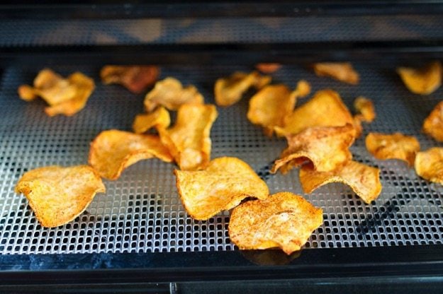 Sweet potato chips in a dehydrator.