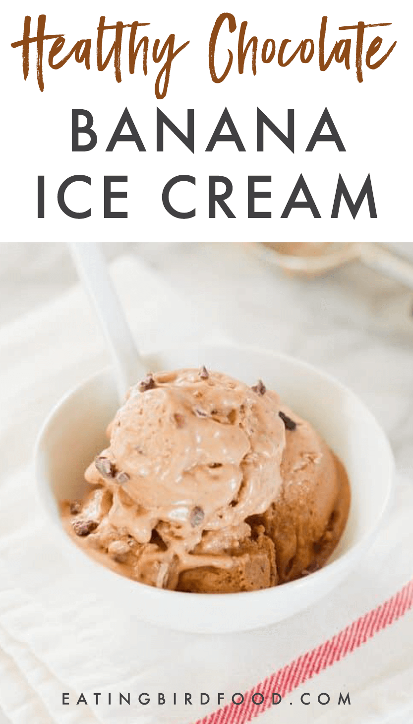 Healthy Chocolate Banana Ice Cream Eating Bird Food