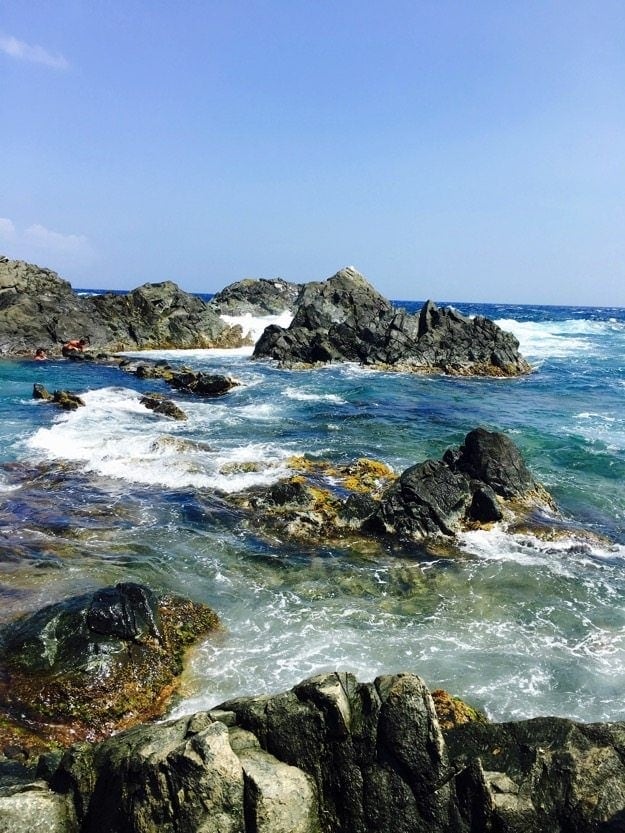 Natural Pool Best Shot